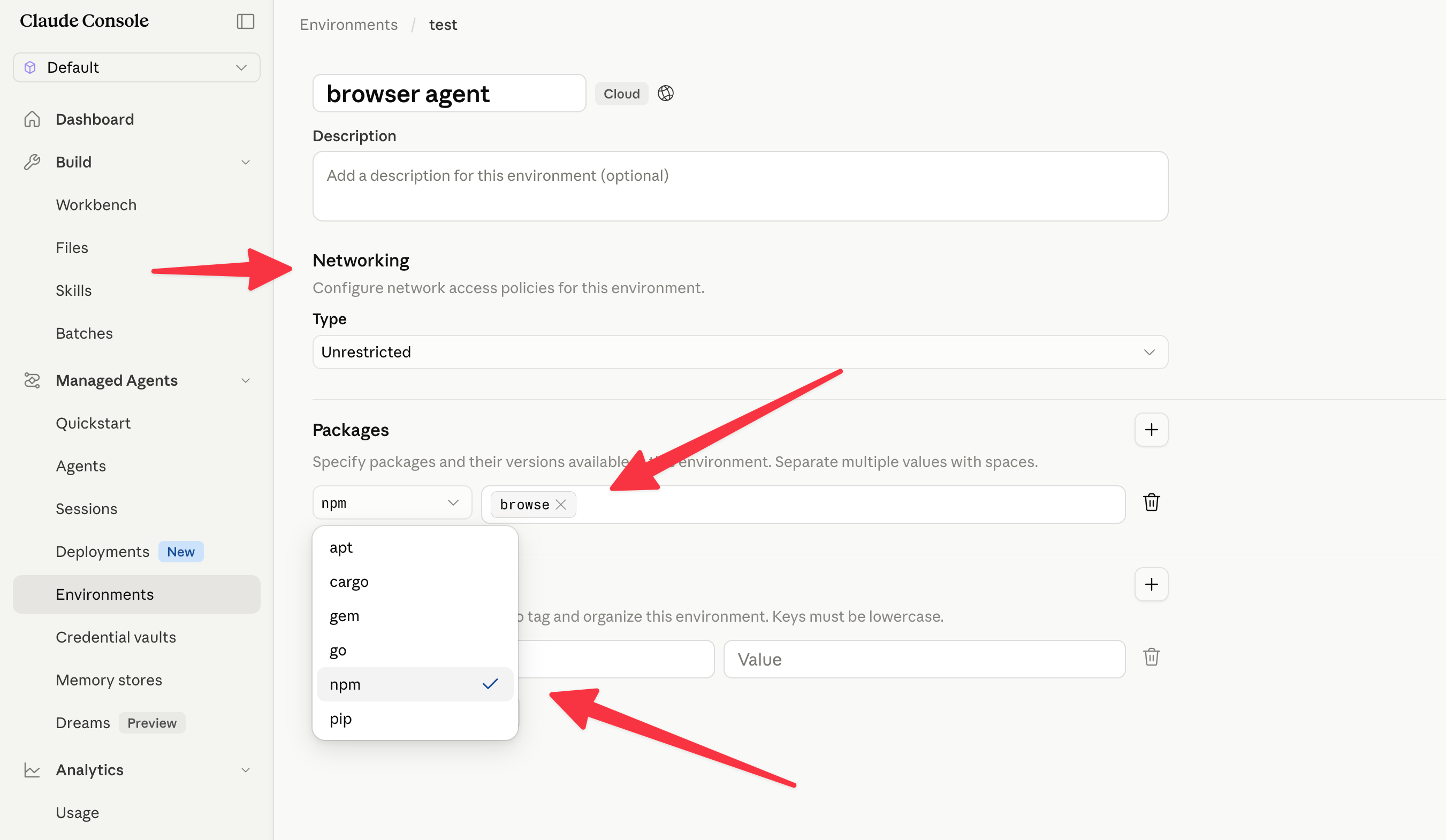 Anthropic Managed Agents environment configured with the browse npm package and unrestricted networking