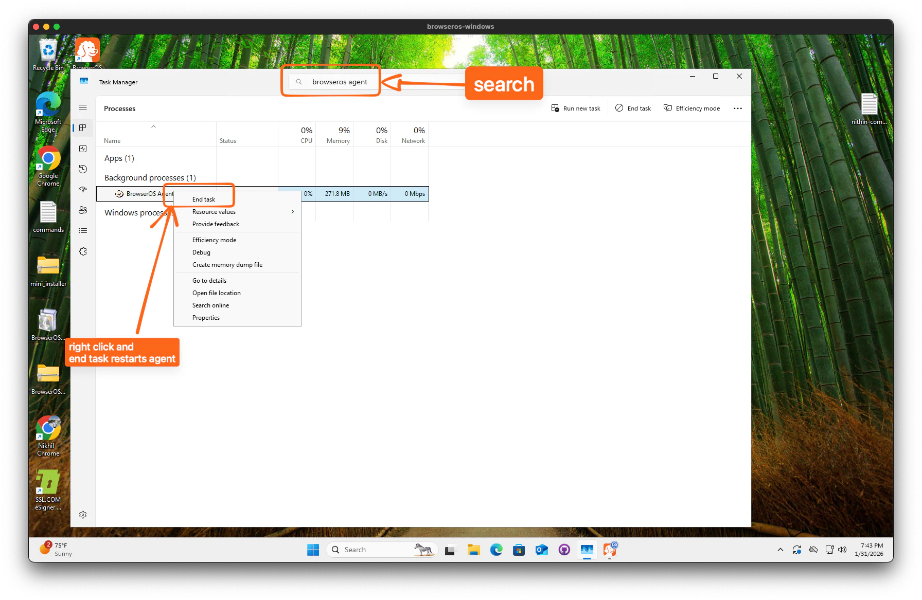 Search for BrowserOS Agent in Task Manager and restart it