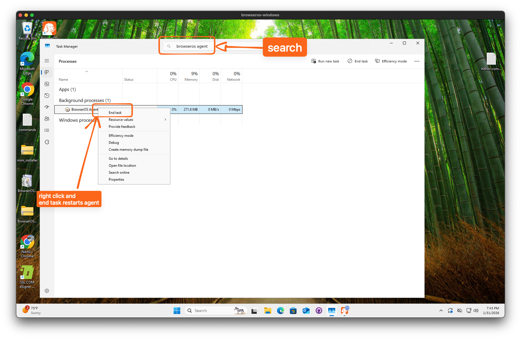 Search for BrowserOS Agent in Task Manager and restart it