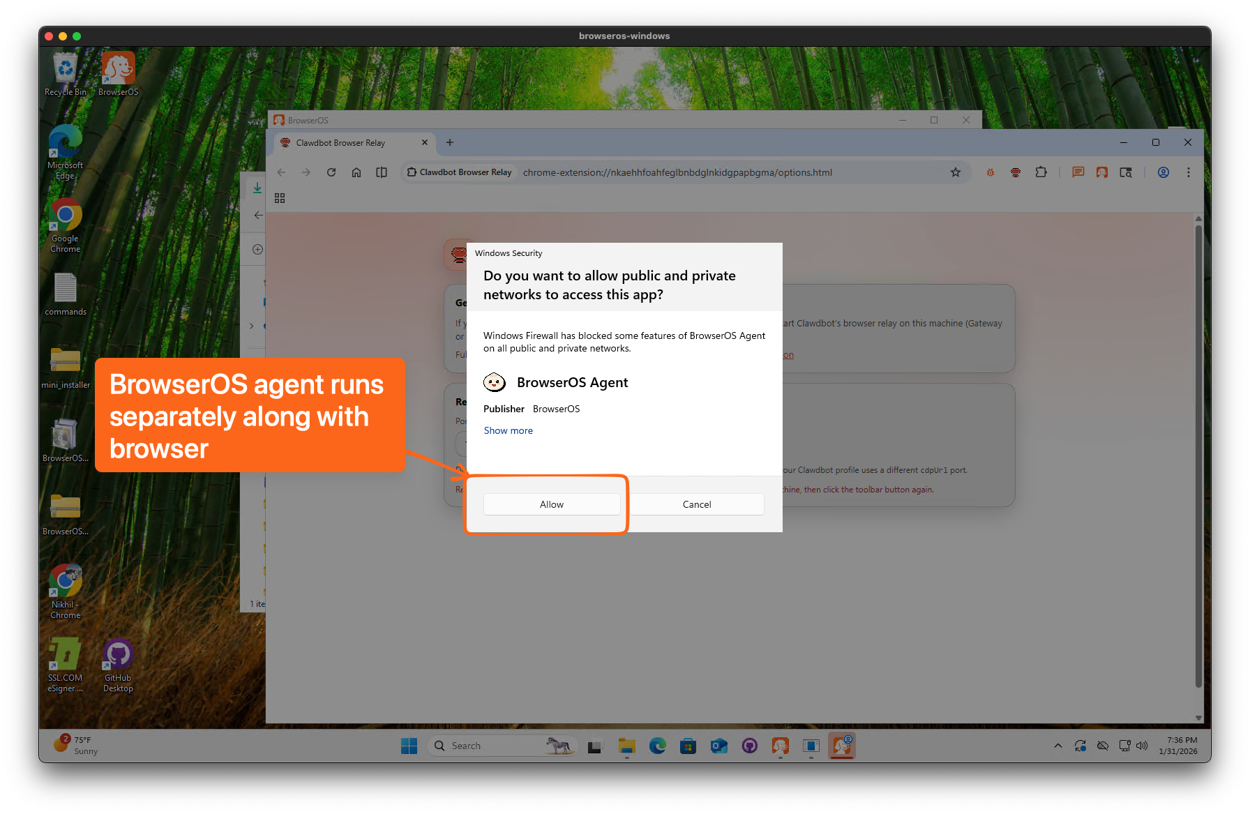 Allow BrowserOS Agent network access prompt