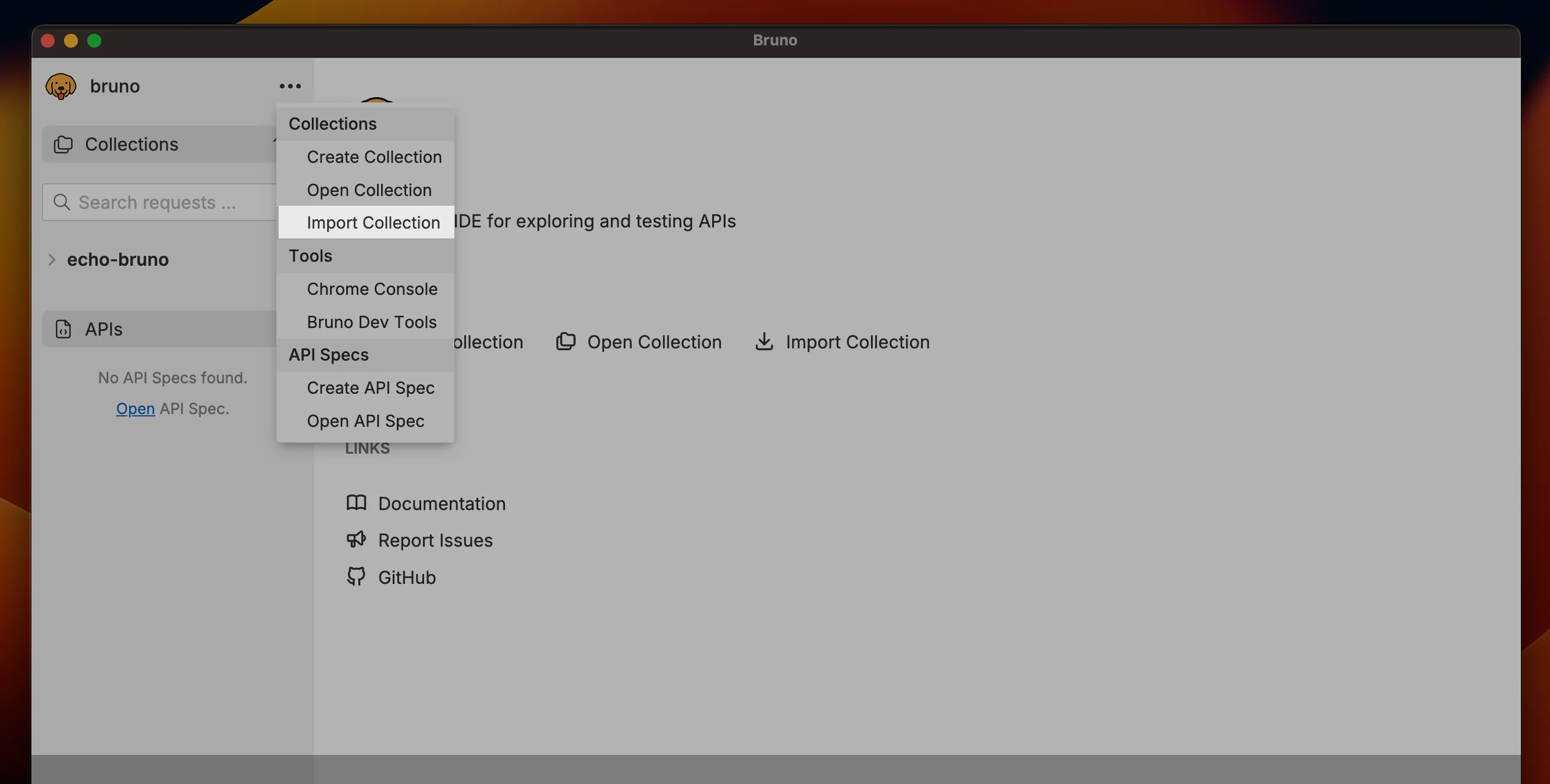 Import Option