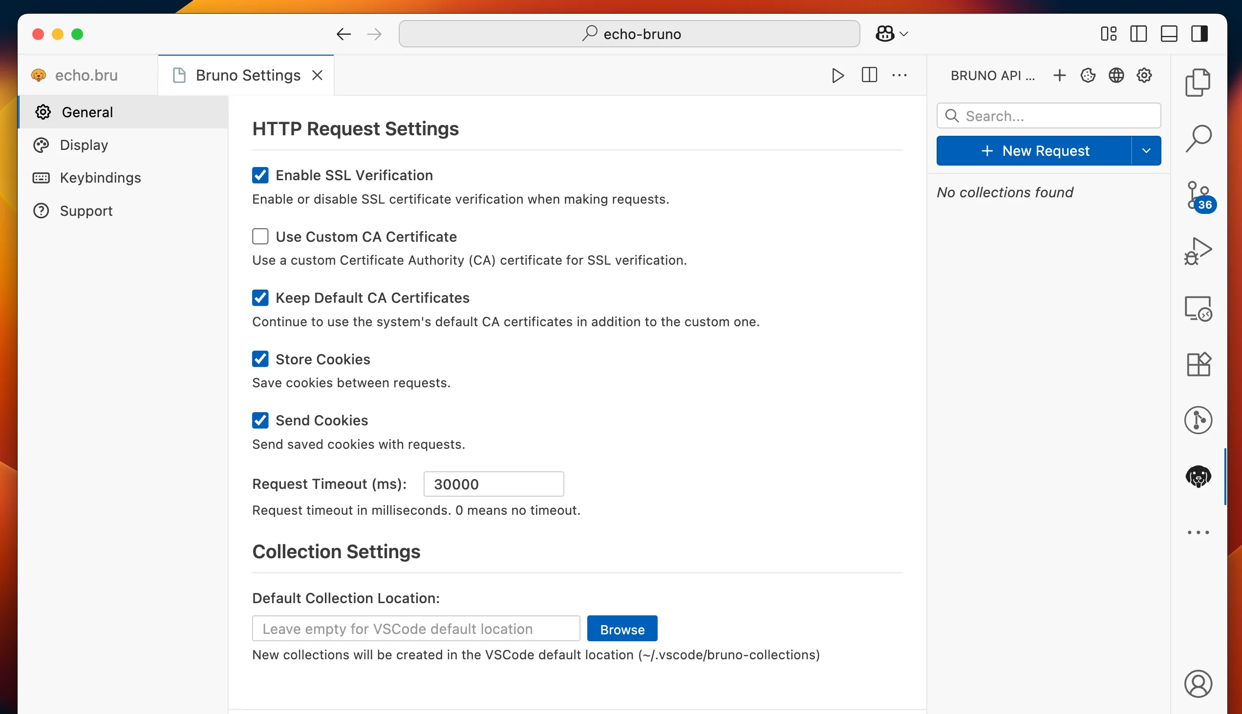 VS Code Extension Settings