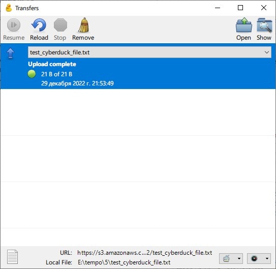 CyberDuck Upload success