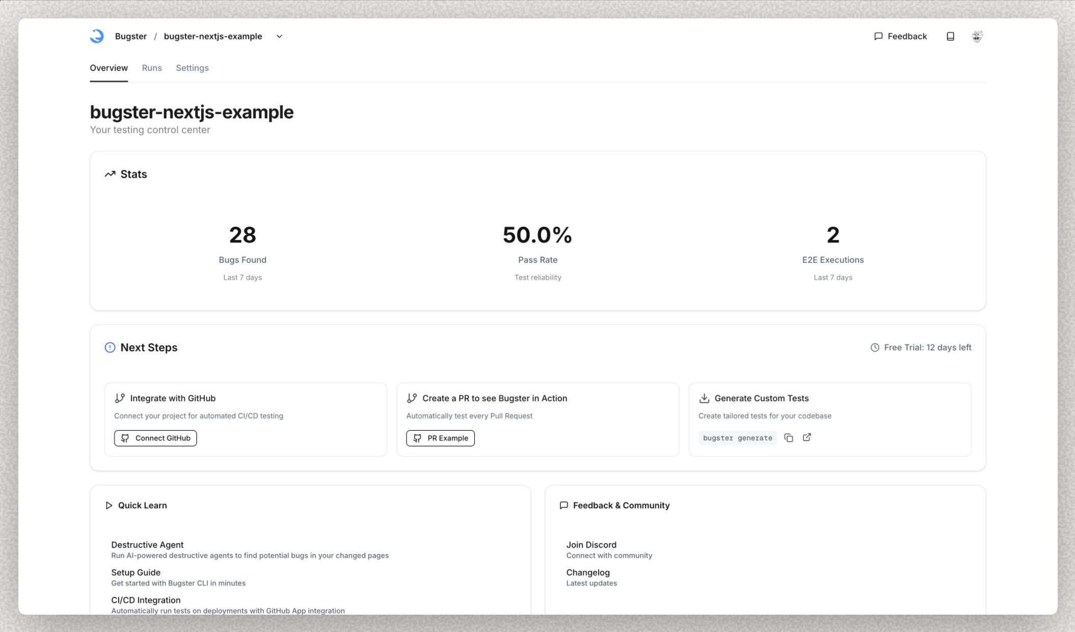 Bugster project dashboard showing testing statistics and next steps