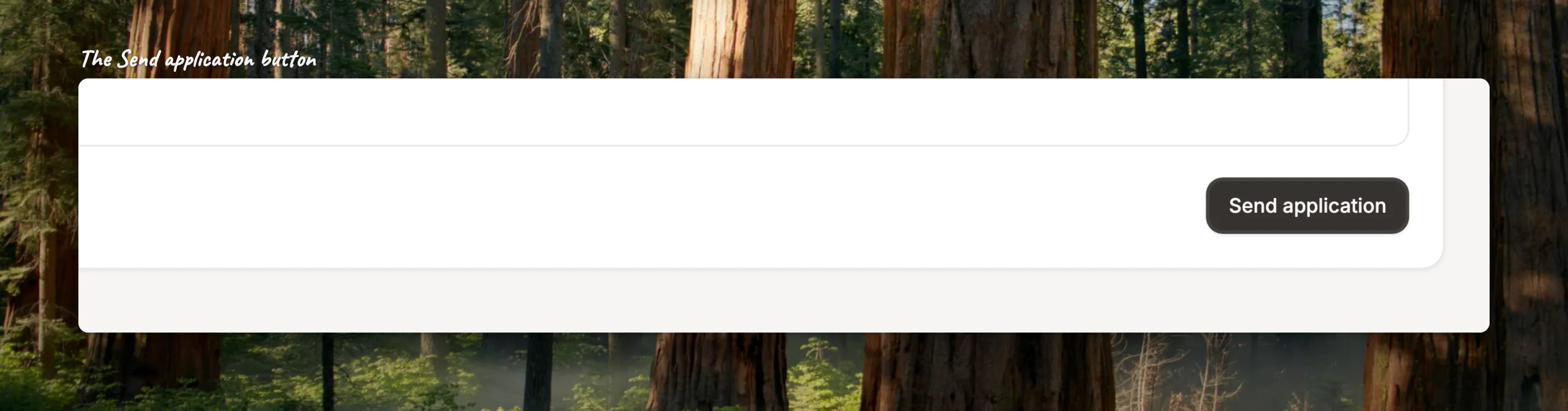 Close-up of the Send application button