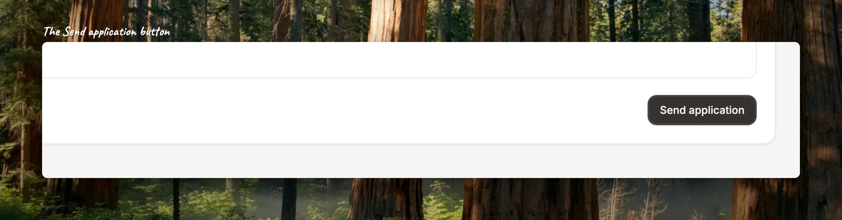 Close-up of the Send application button