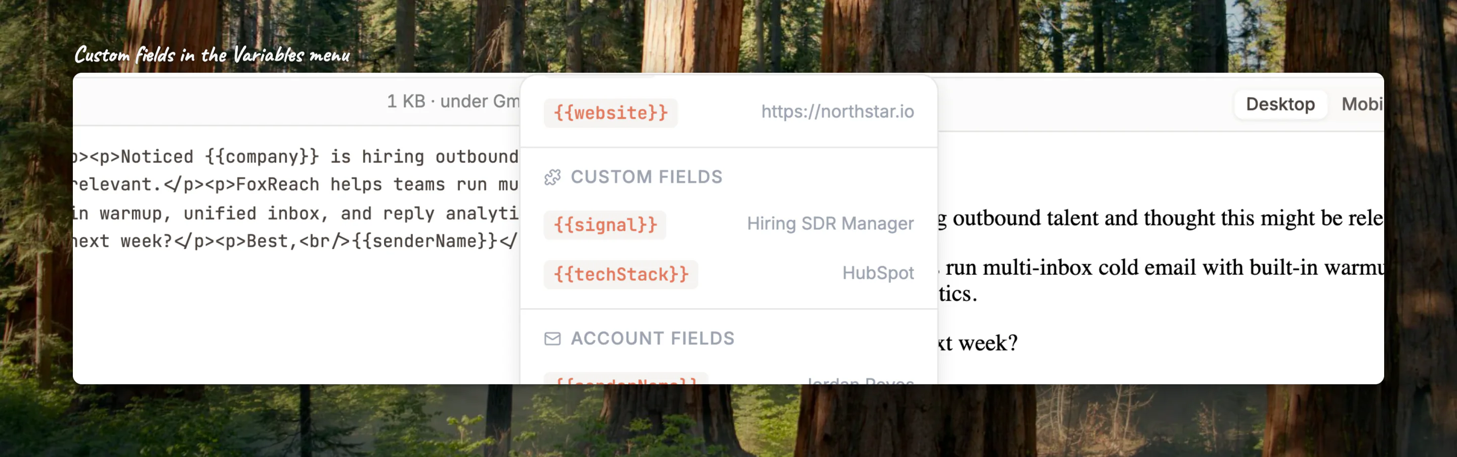 Close-up of the Custom Fields section of the Variables menu