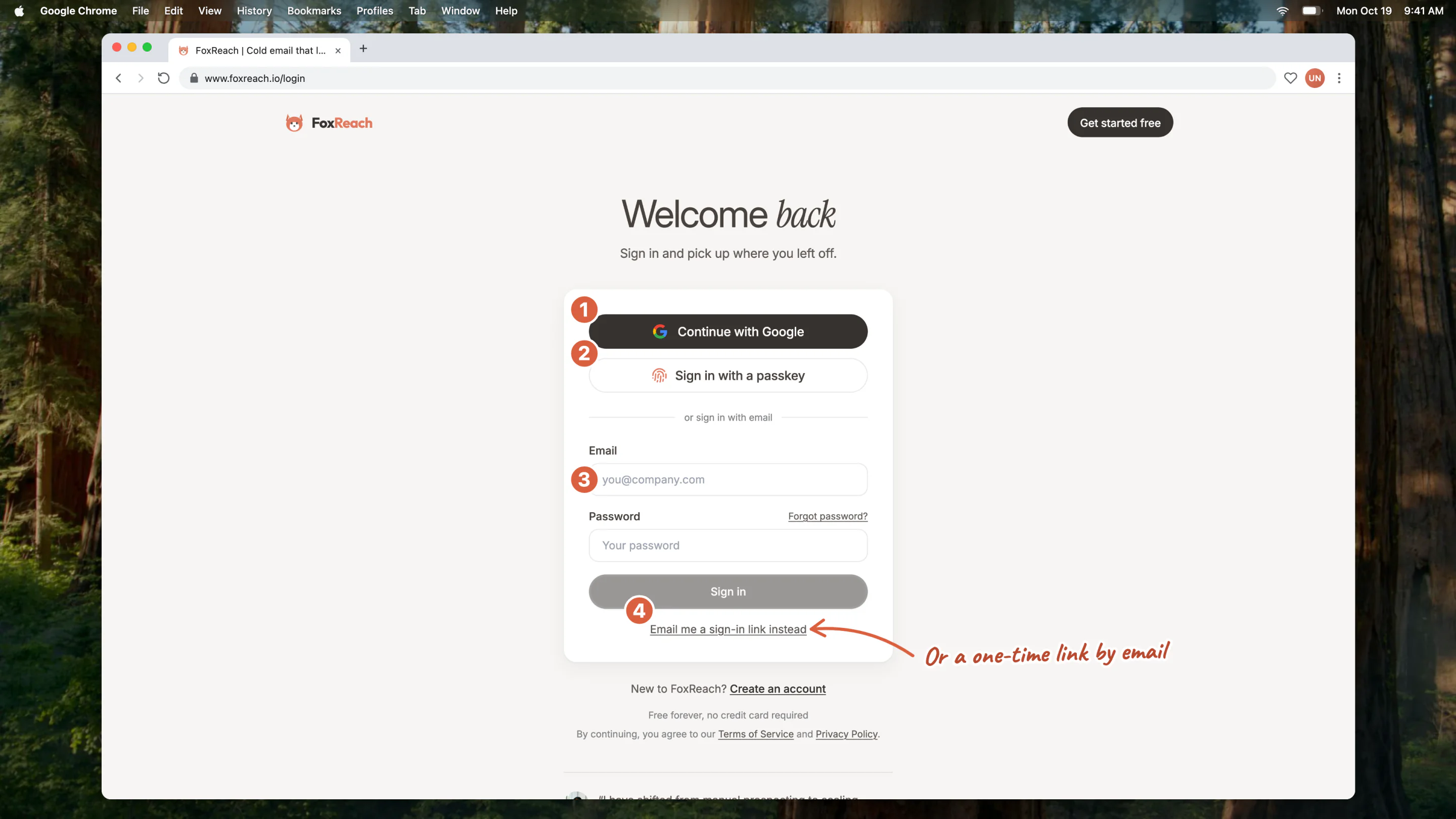 The sign-in page with the four ways in: Continue with Google, Sign in with a passkey, email and password, and a one-time sign-in link