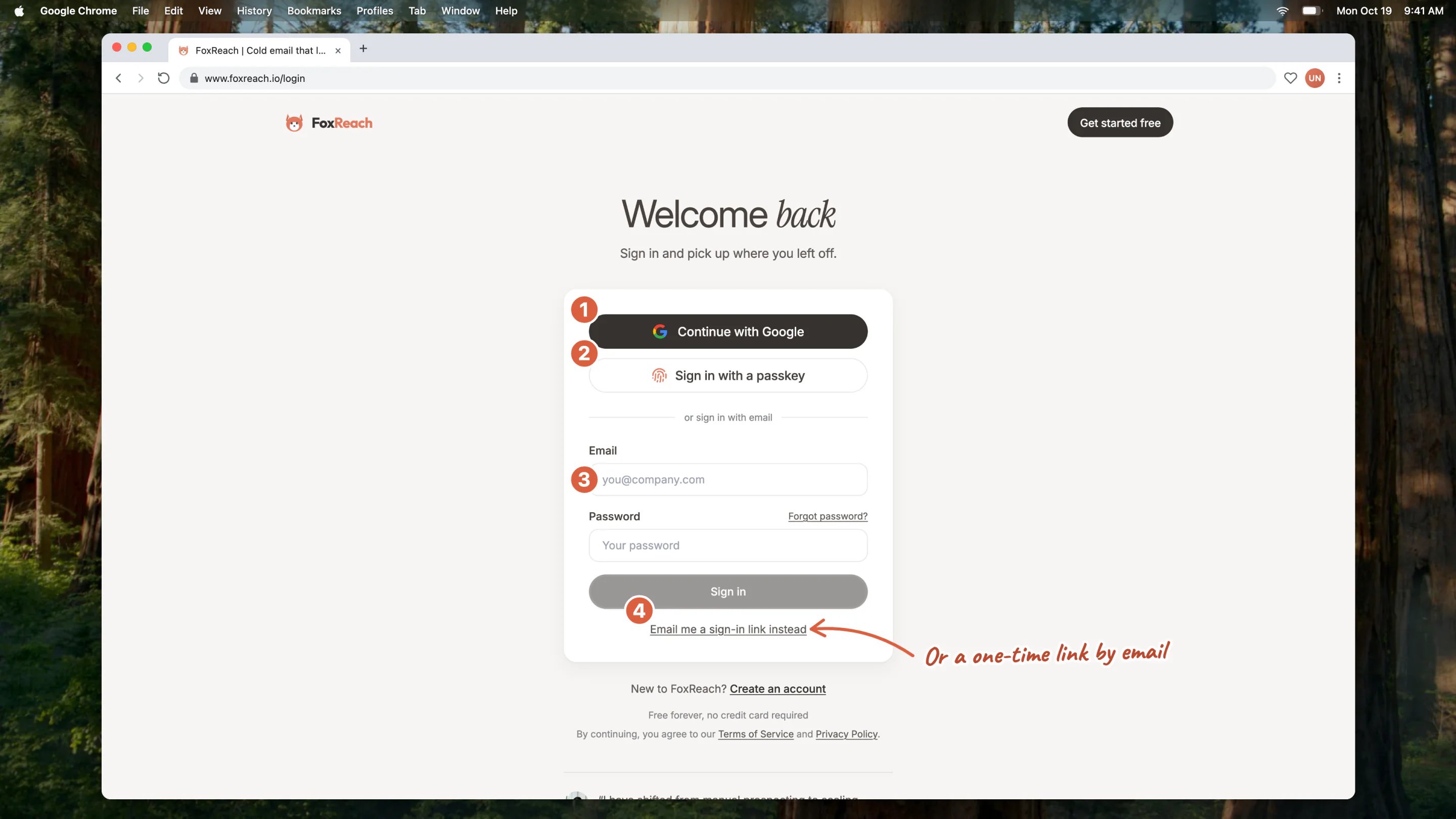 The sign-in page with the four ways in: Continue with Google, Sign in with a passkey, email and password, and a one-time sign-in link