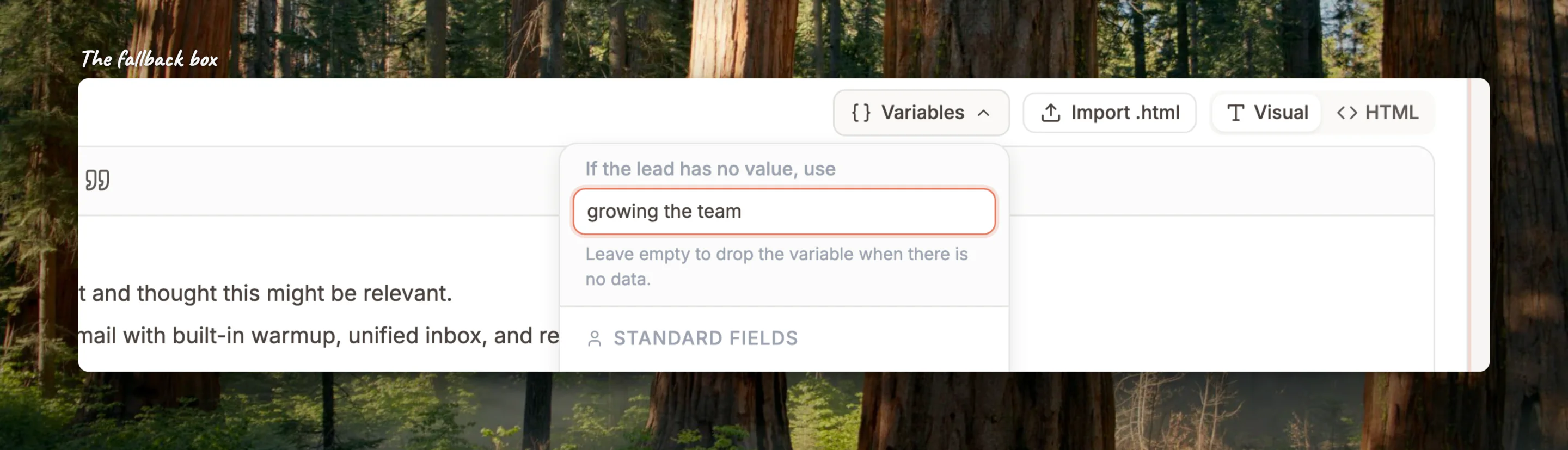 Close-up of the fallback box at the top of the Variables menu