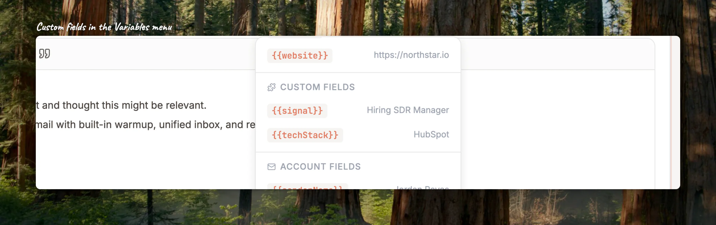 Close-up of the Custom Fields section of the Variables menu