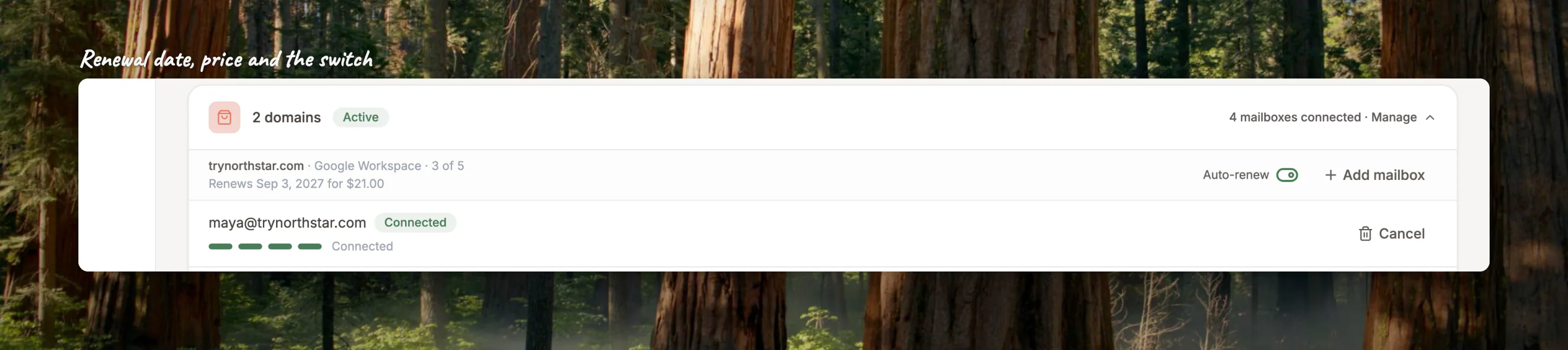 Close-up of a domain row: renewal date and price on the left, the Auto-renew switch on the right