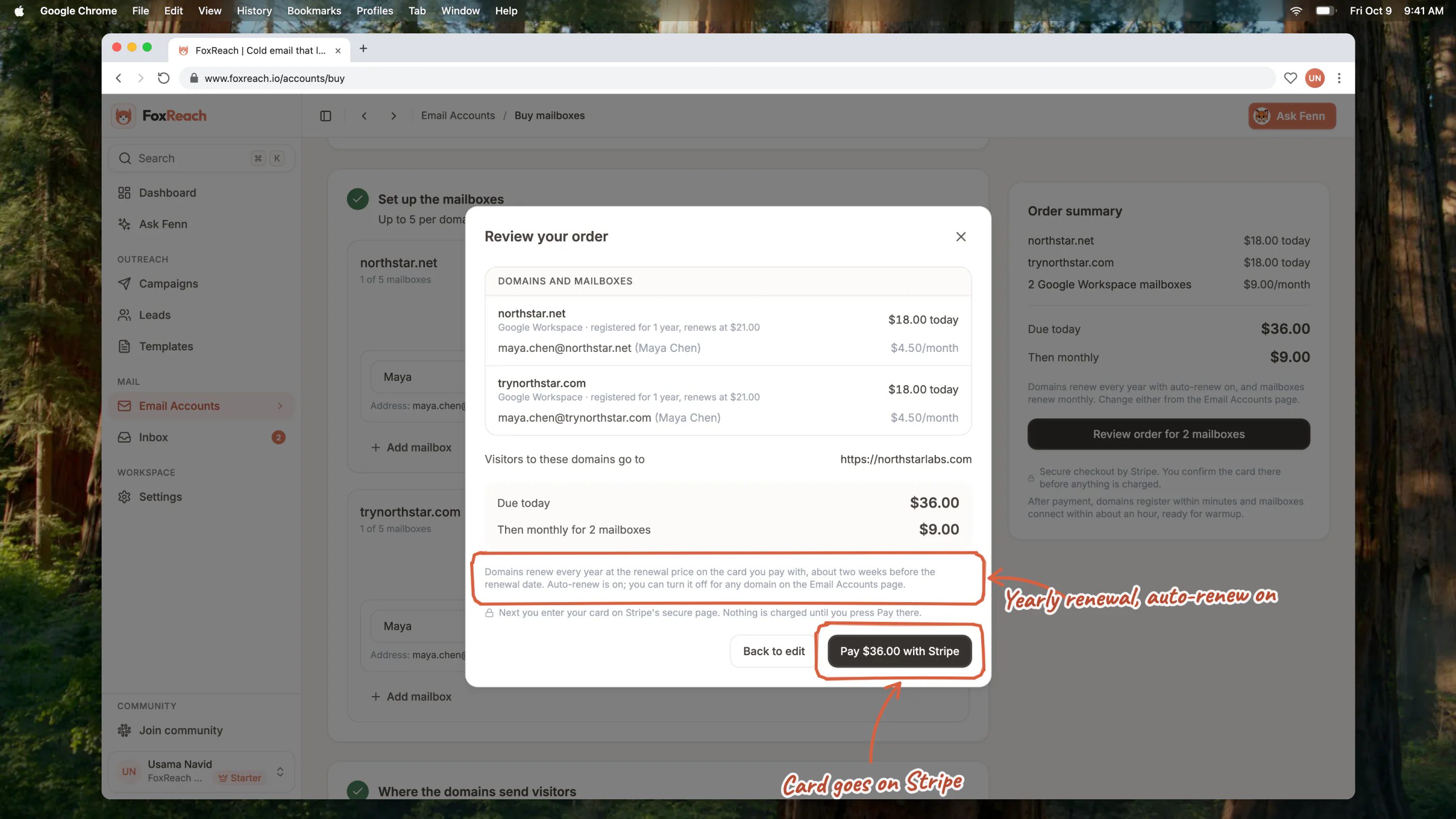 The Review your order dialog listing each domain with its renewal price, each mailbox, the amount due today and the monthly total