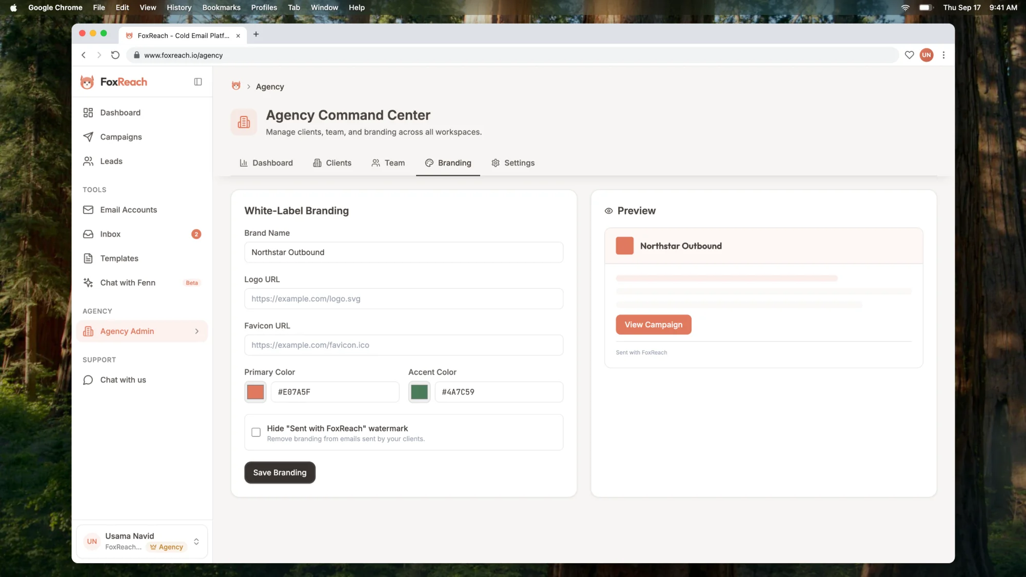The Branding tab with agency name, logo and colors