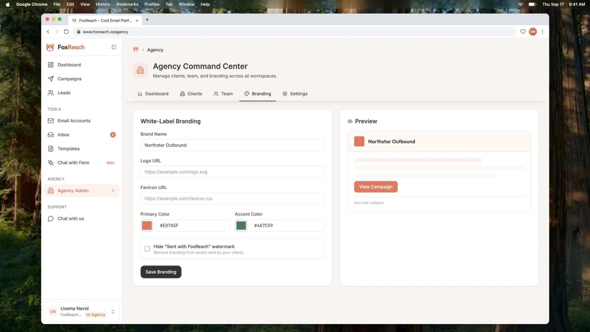 The Branding tab with agency name, logo and colors