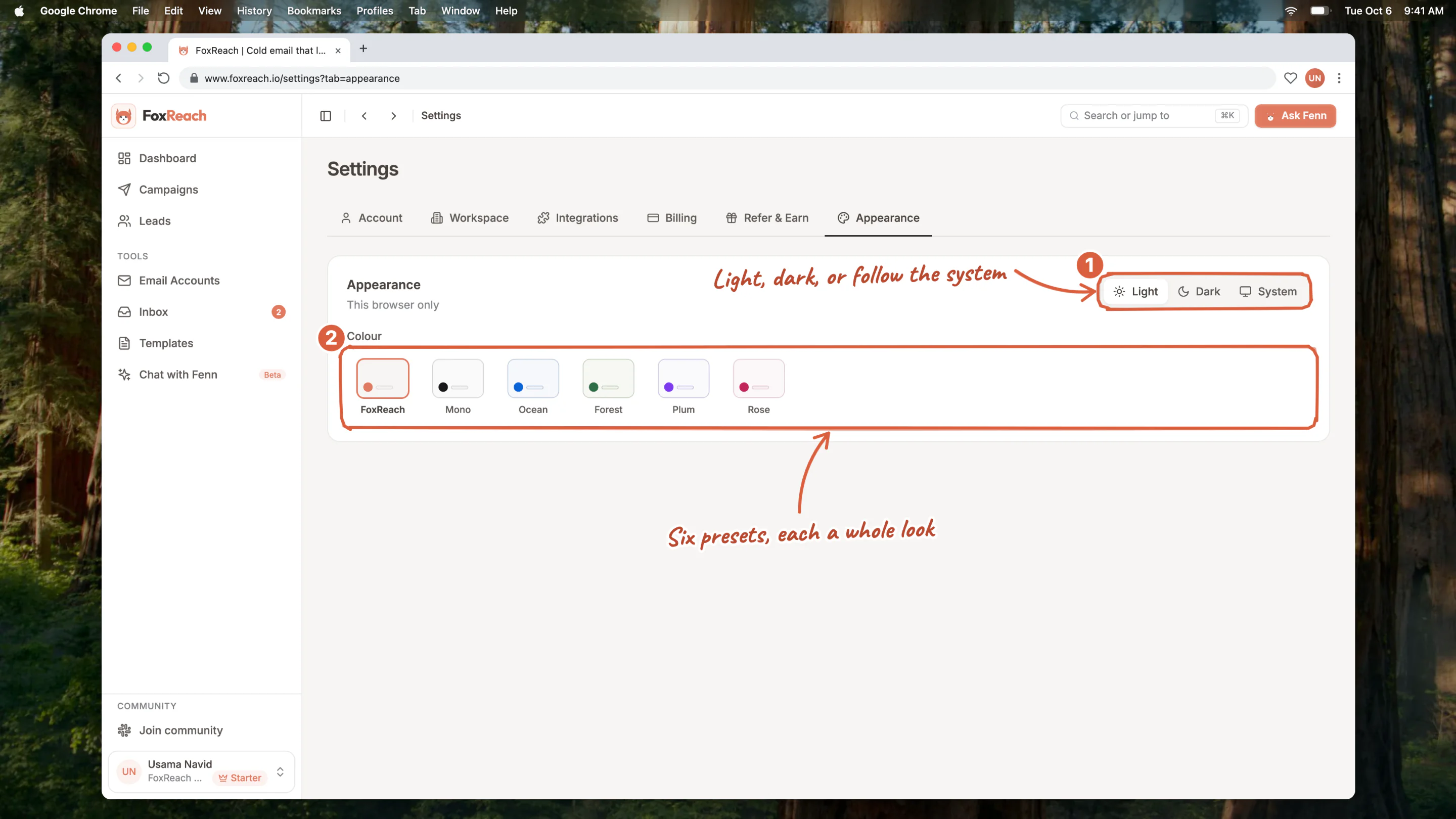 The Appearance tab with Light, Dark and System, and the six colour presets: FoxReach, Mono, Ocean, Forest, Plum and Rose