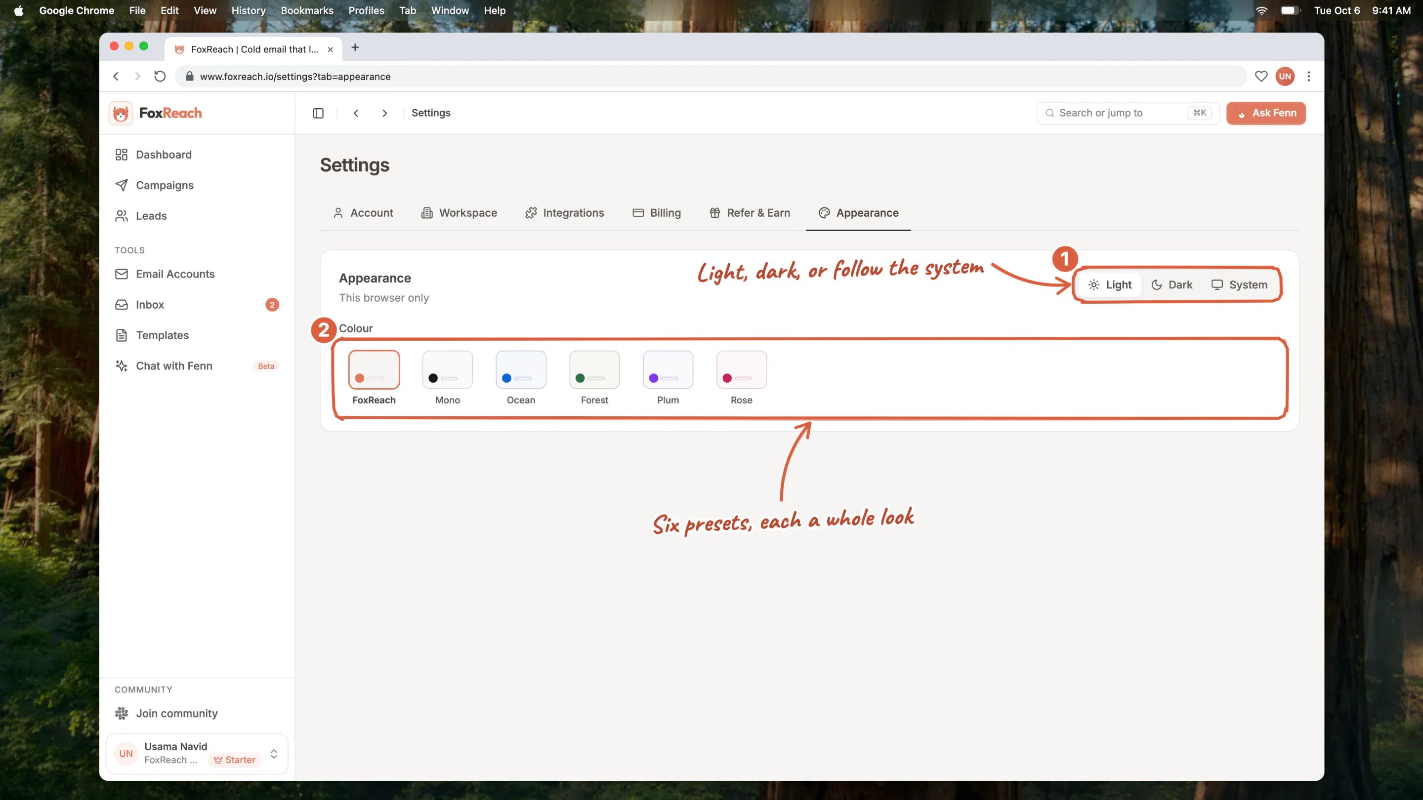 The Appearance tab with Light, Dark and System, and the six colour presets: FoxReach, Mono, Ocean, Forest, Plum and Rose