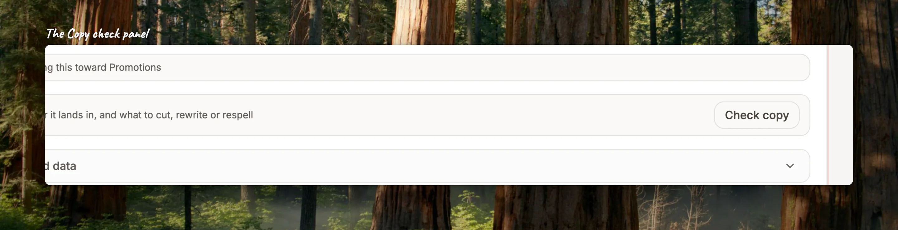 Close-up of the Copy check panel under the step editor before the first check, with the Check copy button