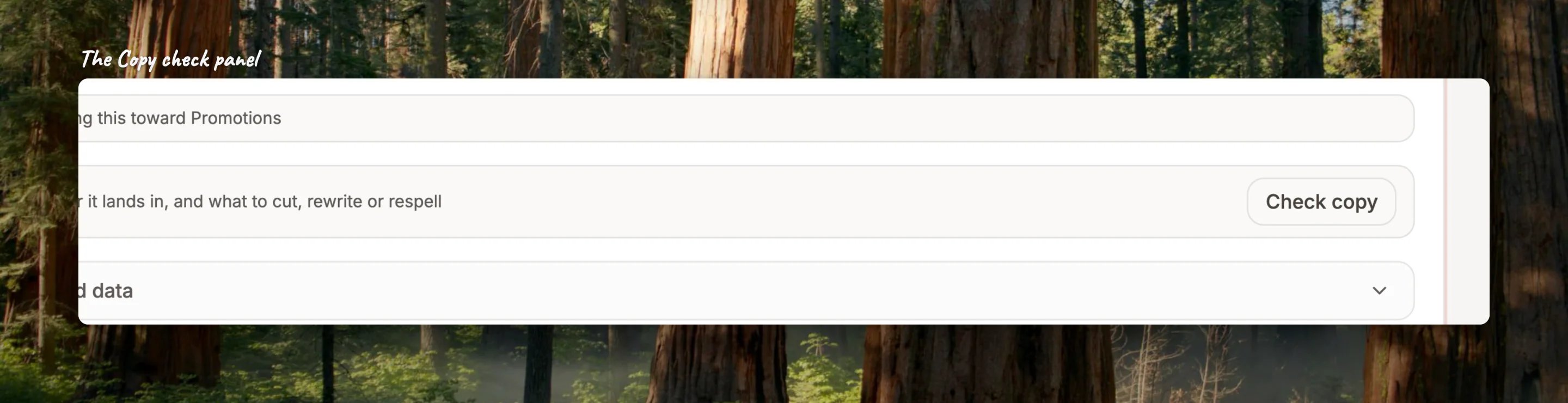 Close-up of the Copy check panel under the step editor before the first check, with the Check copy button