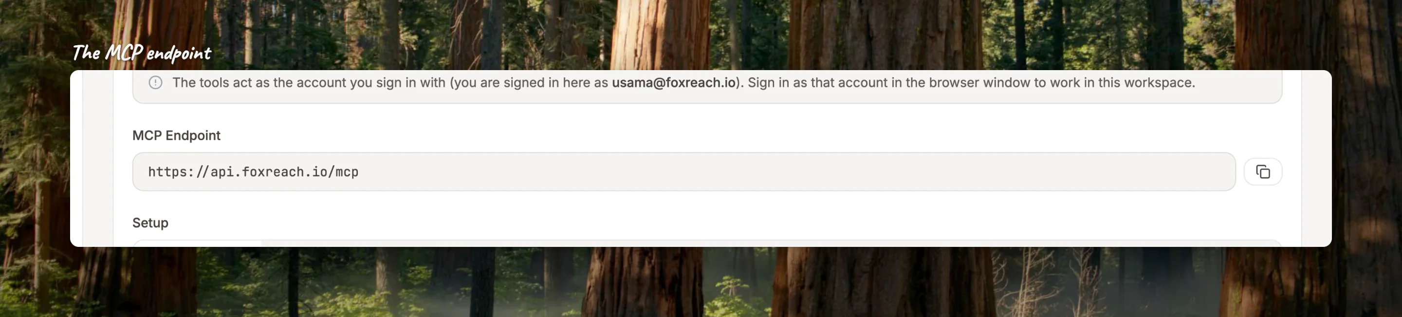 Close-up of the MCP Endpoint, https://api.foxreach.io/mcp, that every client pastes in