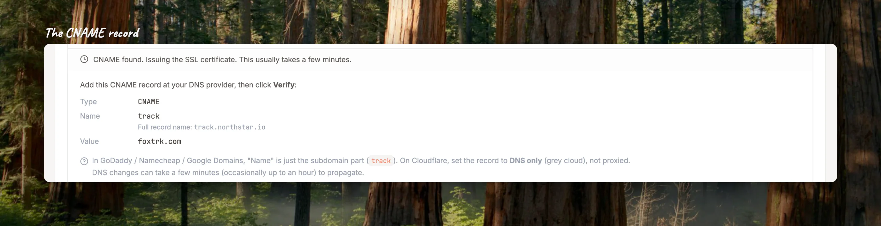 Close-up of the CNAME record to add: type CNAME, name your subdomain, value foxtrk.com