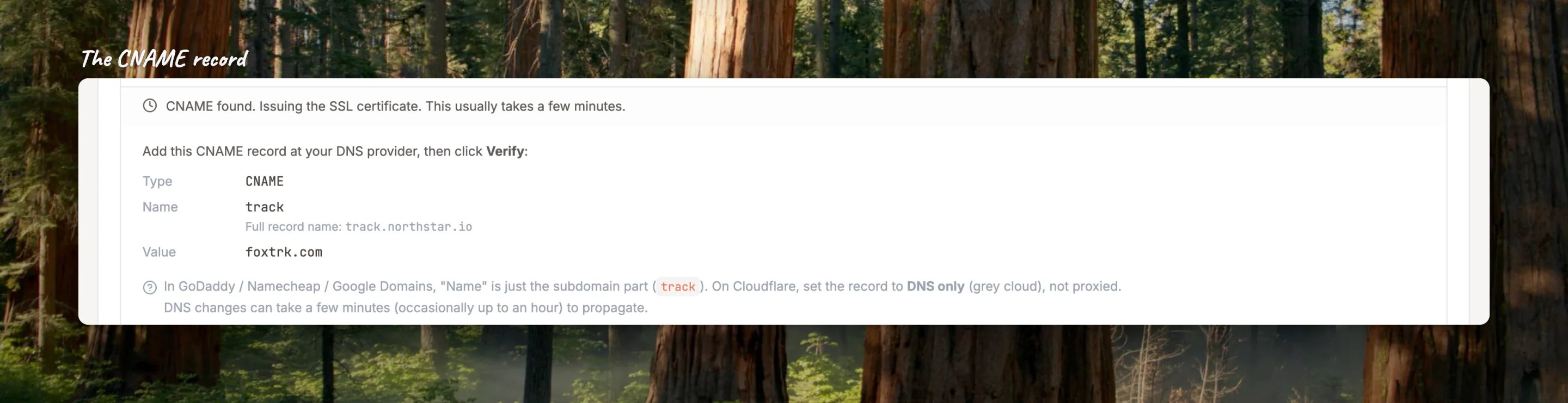 Close-up of the CNAME record to add: type CNAME, name your subdomain, value foxtrk.com