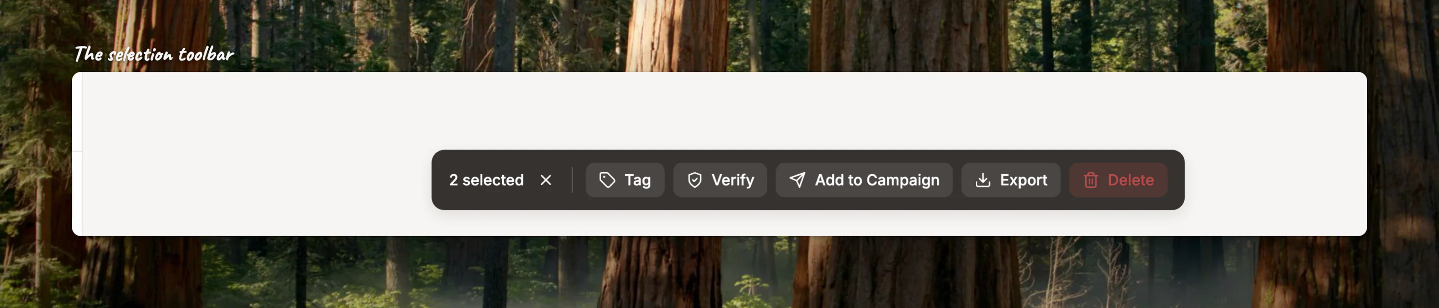 Close-up of the selection toolbar with the Verify button after picking leads in the list