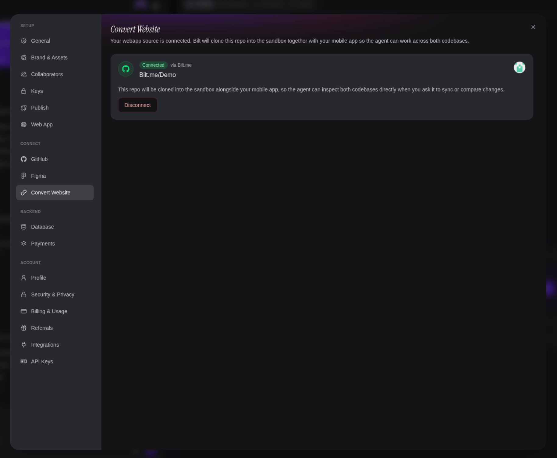 Convert Website with a repository linked, showing the connected repo and a Disconnect button