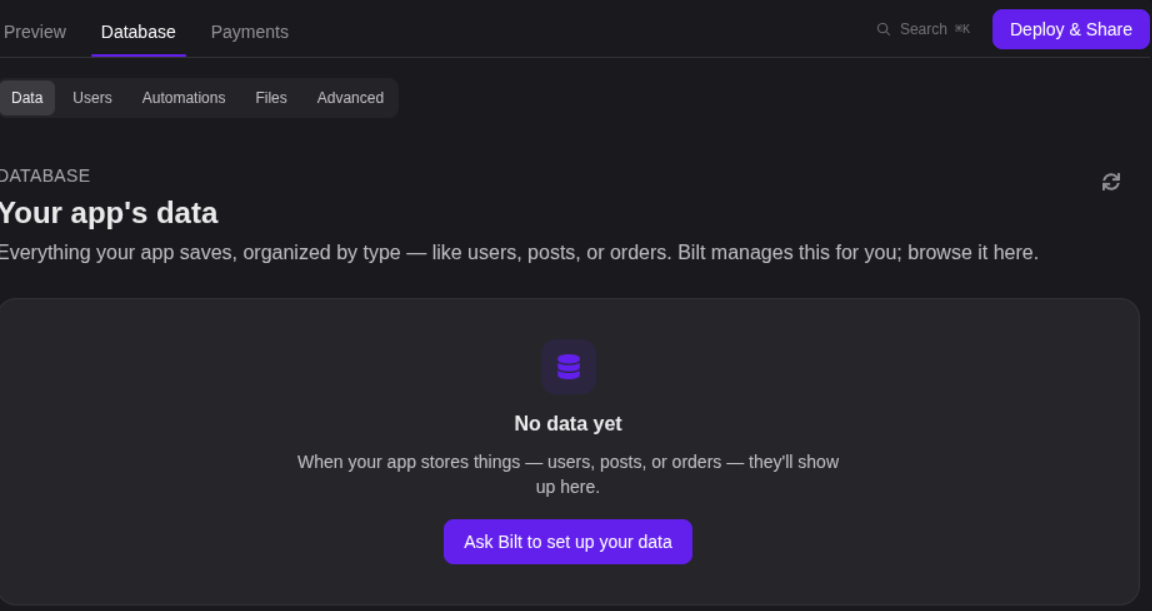 The Data tab right after enabling, before the app stores anything