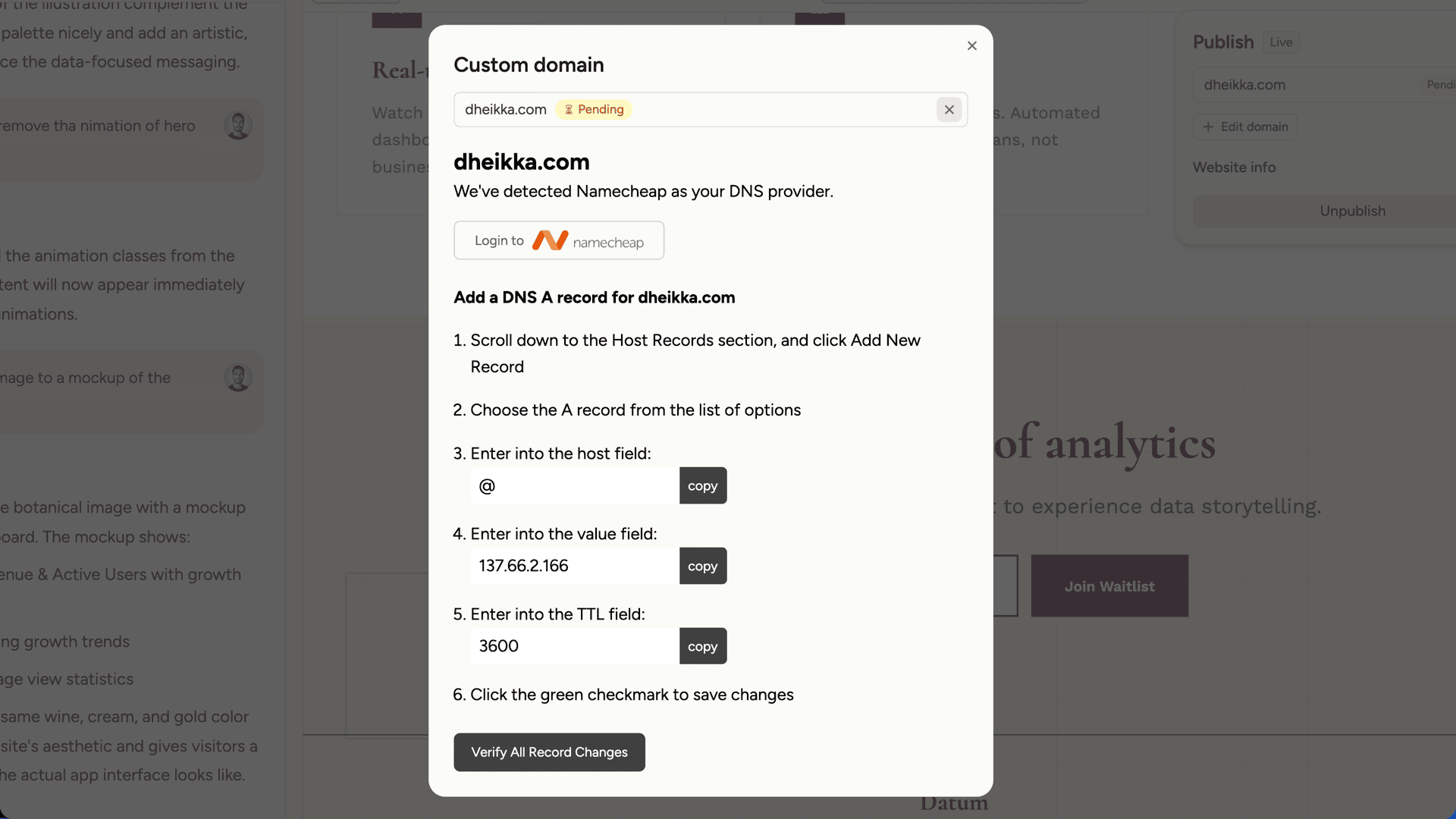 Custom domain modal showing DNS configuration instructions