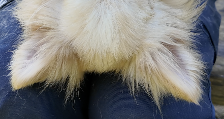 Video frame before compression - original quality