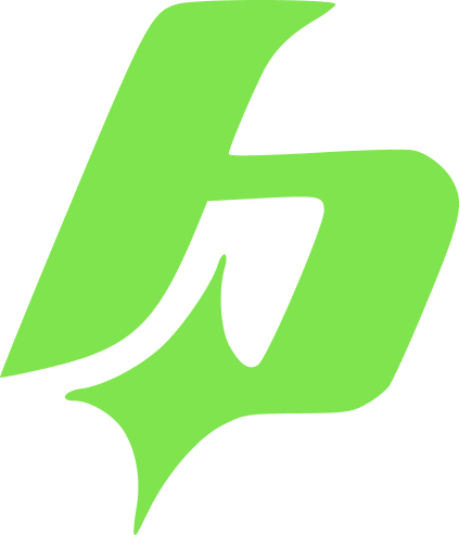 light logo