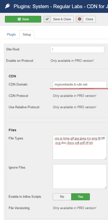 Setting the CDN Domain