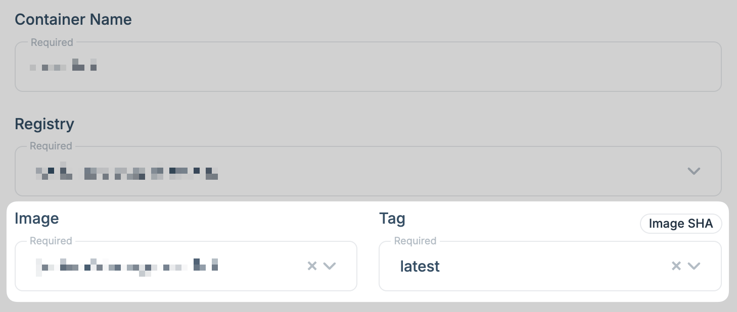 Select image and tag