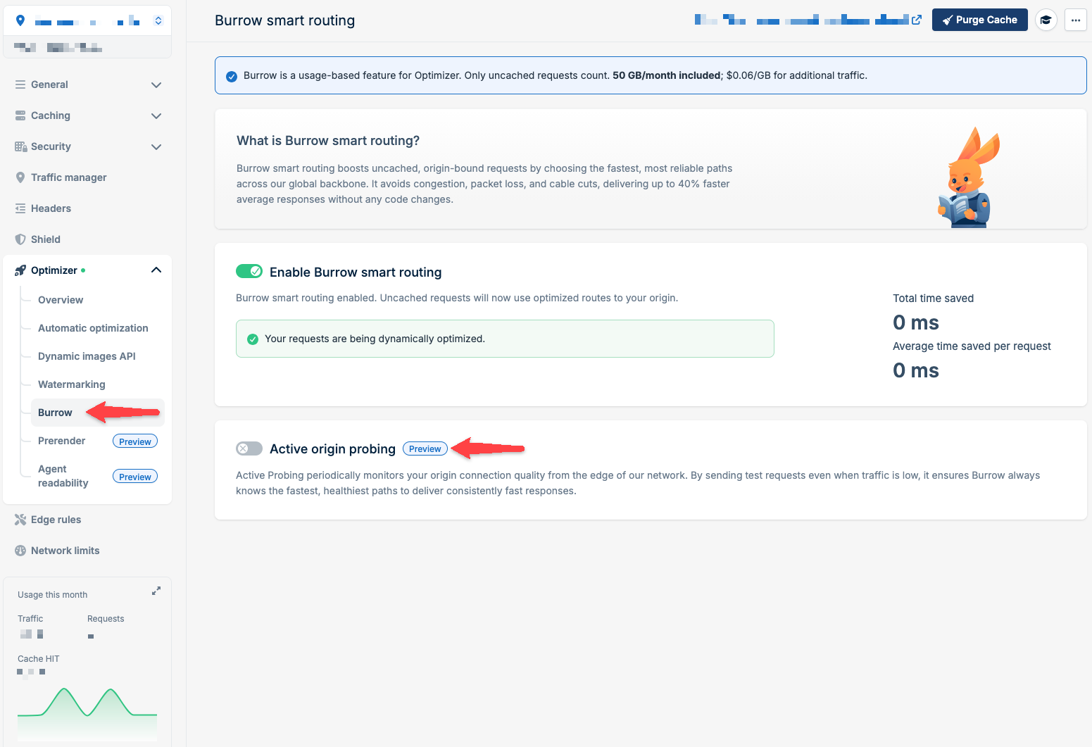 Enable Burrow Active origin probing