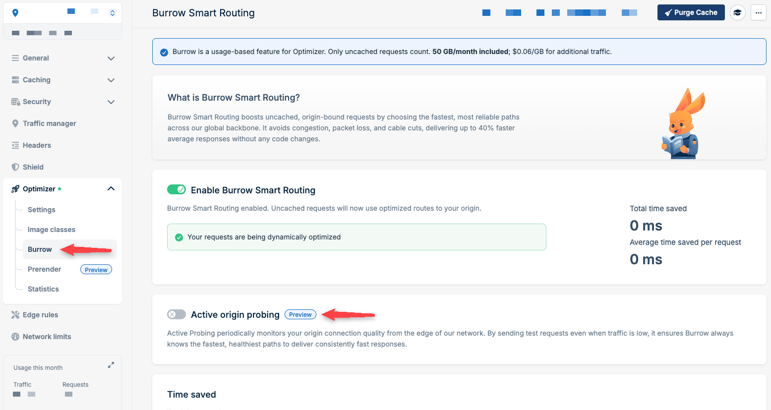 Enable Burrow Active origin probing