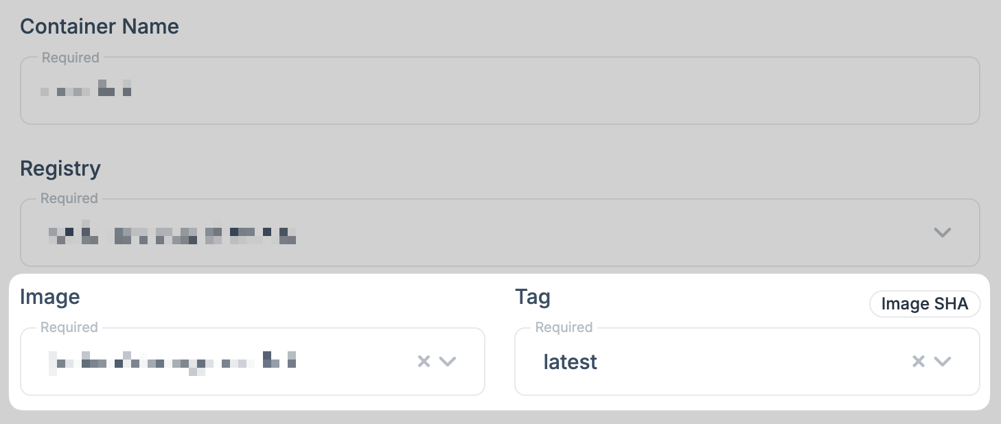 Select image and tag