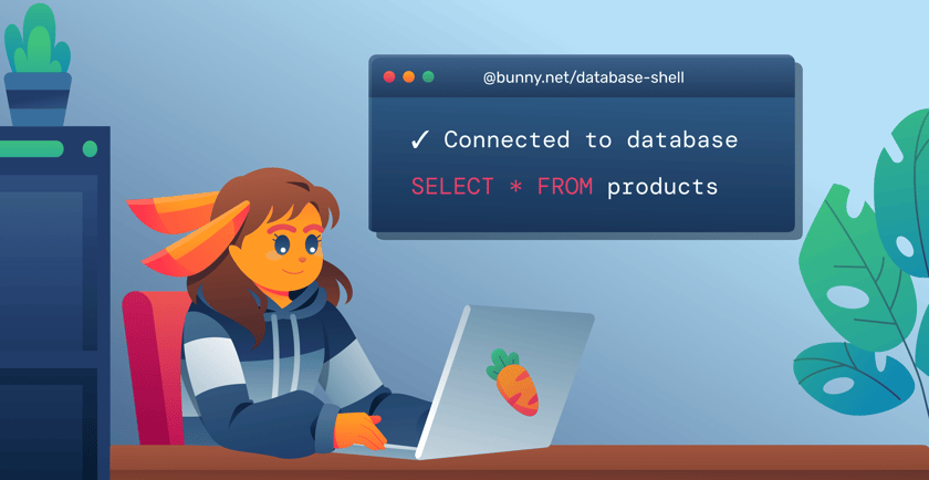 Shell Database Sample Query Database Shell - bunny.net Documentation
