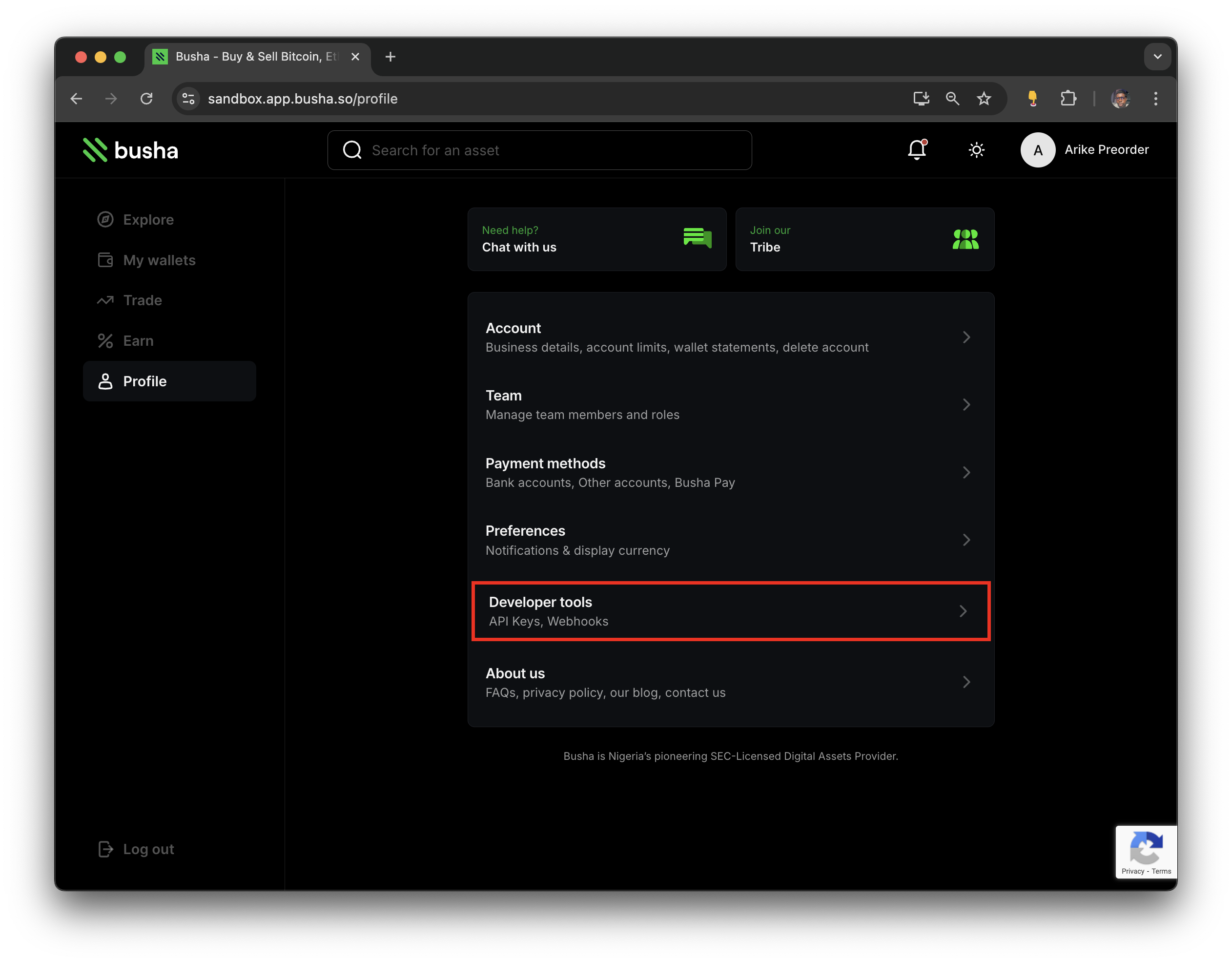 Business profile page with Developer tools in focus