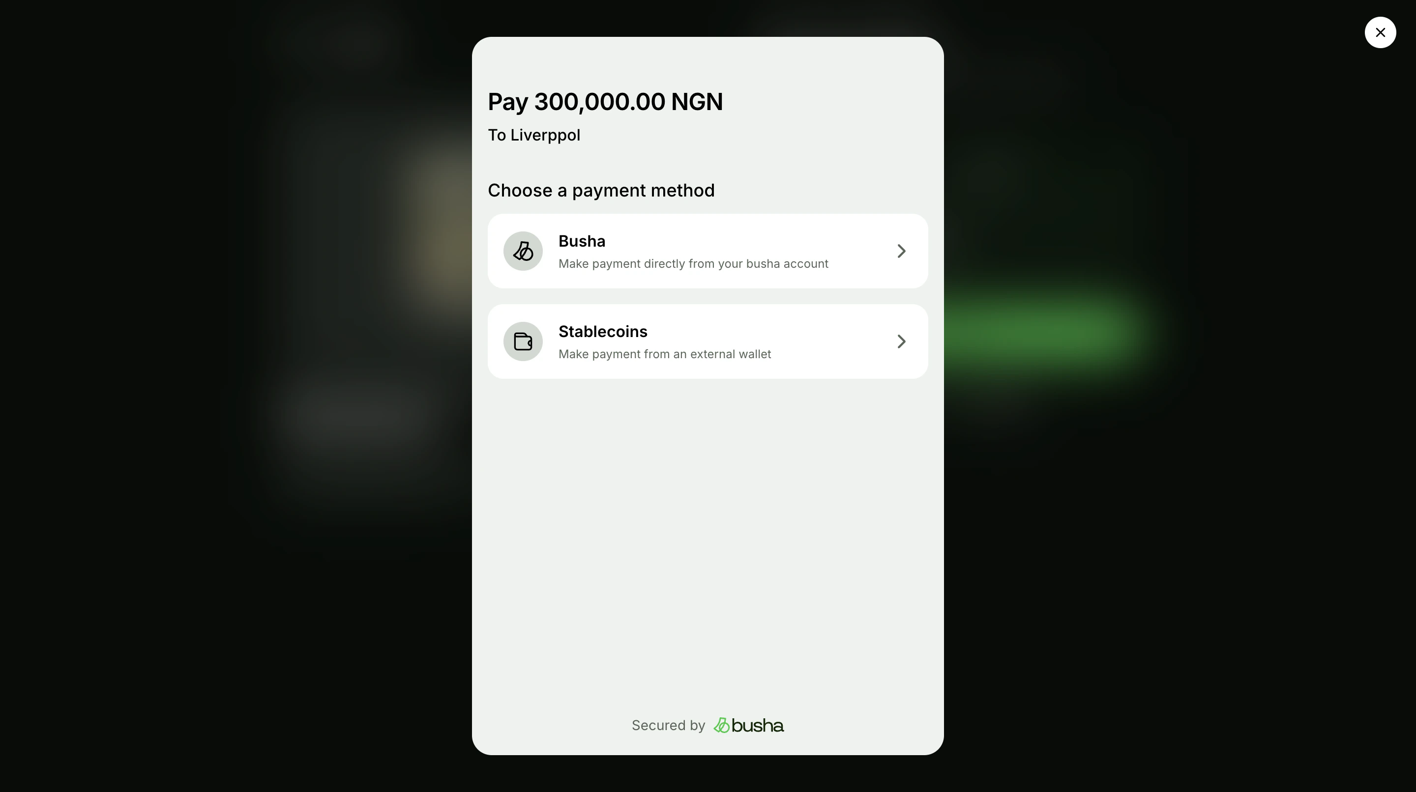 Payment link payment method options