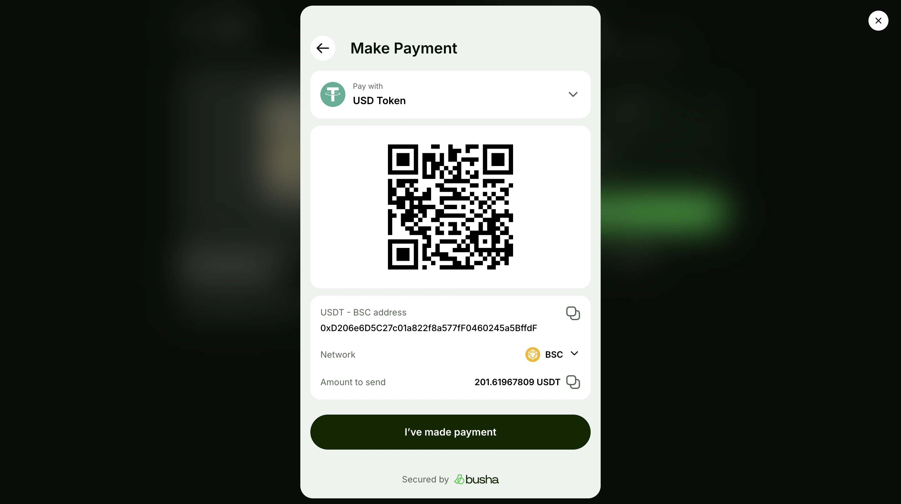Payment link payment screen