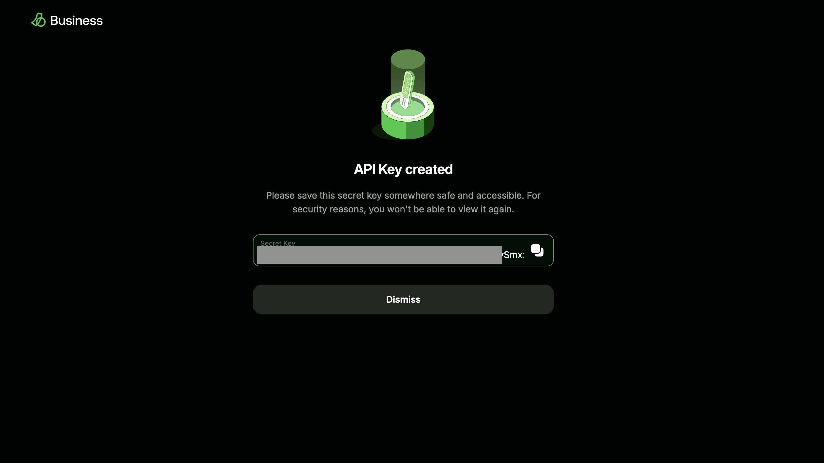Details of the API key created