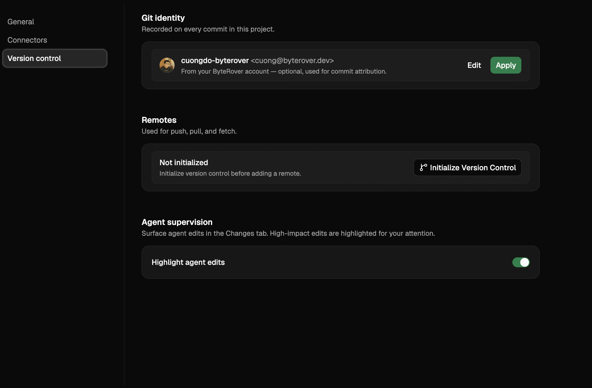 Version control section with Identity and Remotes panels