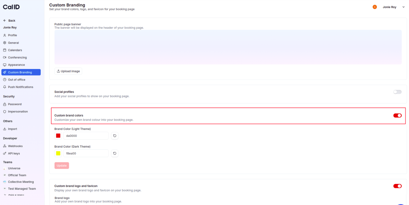 Enable custom brand colors