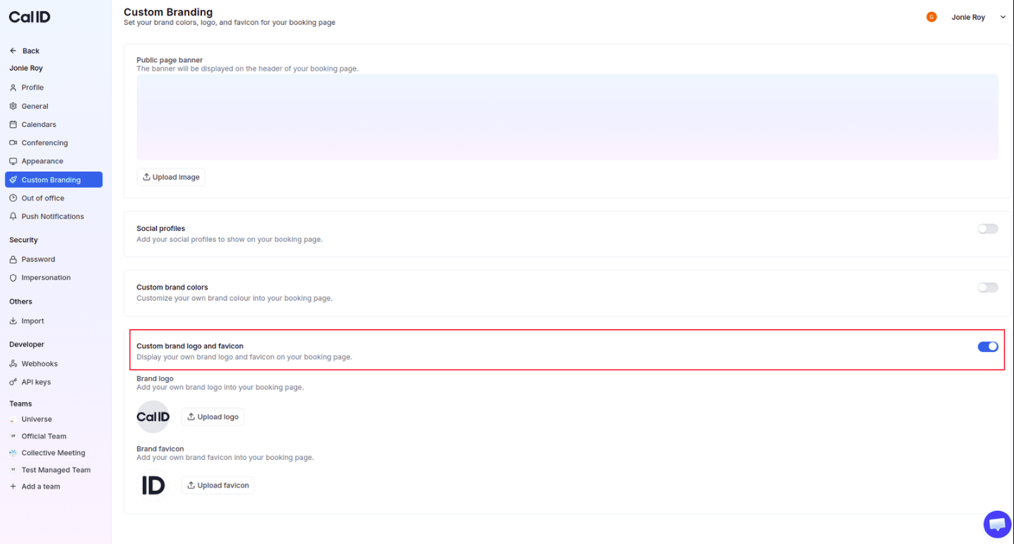 Enable custom brand logo and favicon