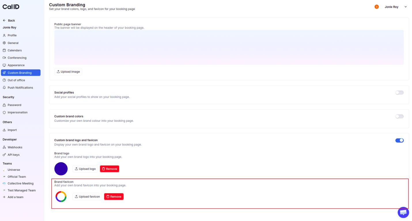Upload brand favicon