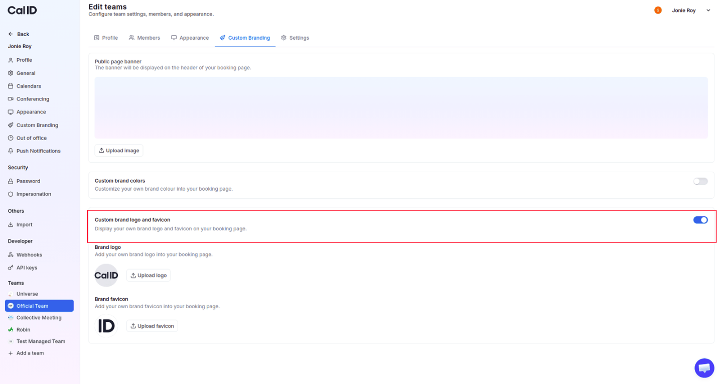 Enable custom brand logo and favicon