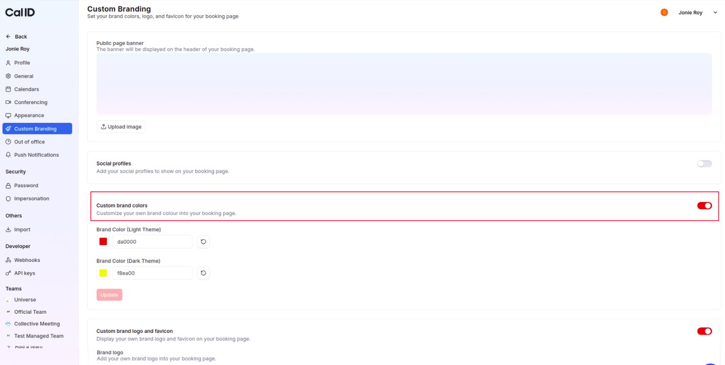 Custom brand colors setting