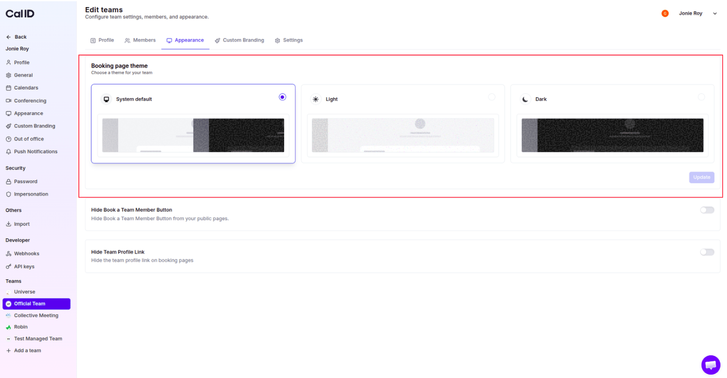 Team booking page theme