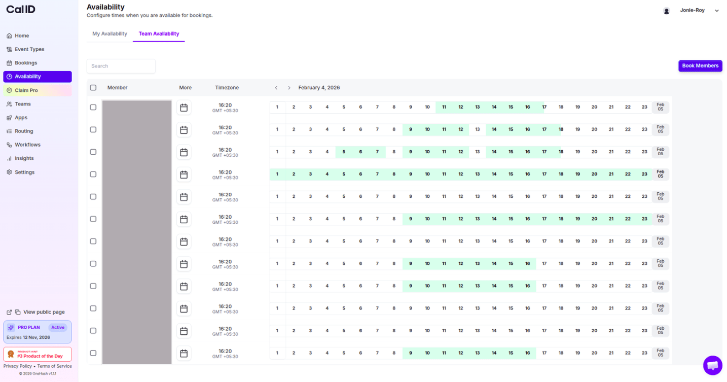 Team availability schedules view